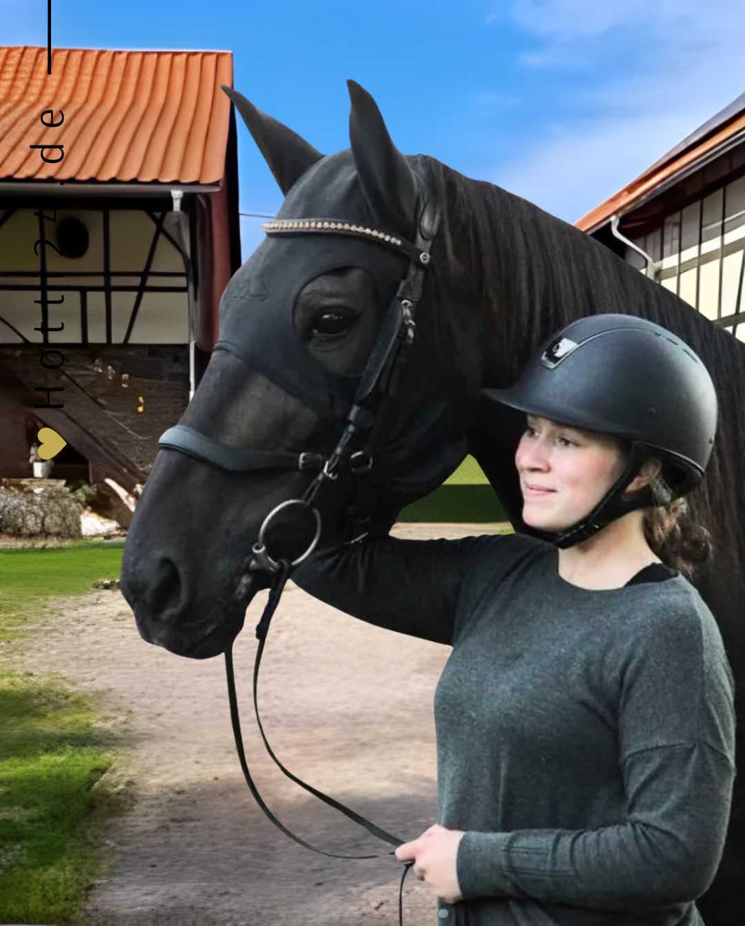 fenwick-pferde-maske-liquid-titanium-814788014841-kaufen-www.hotti24.de