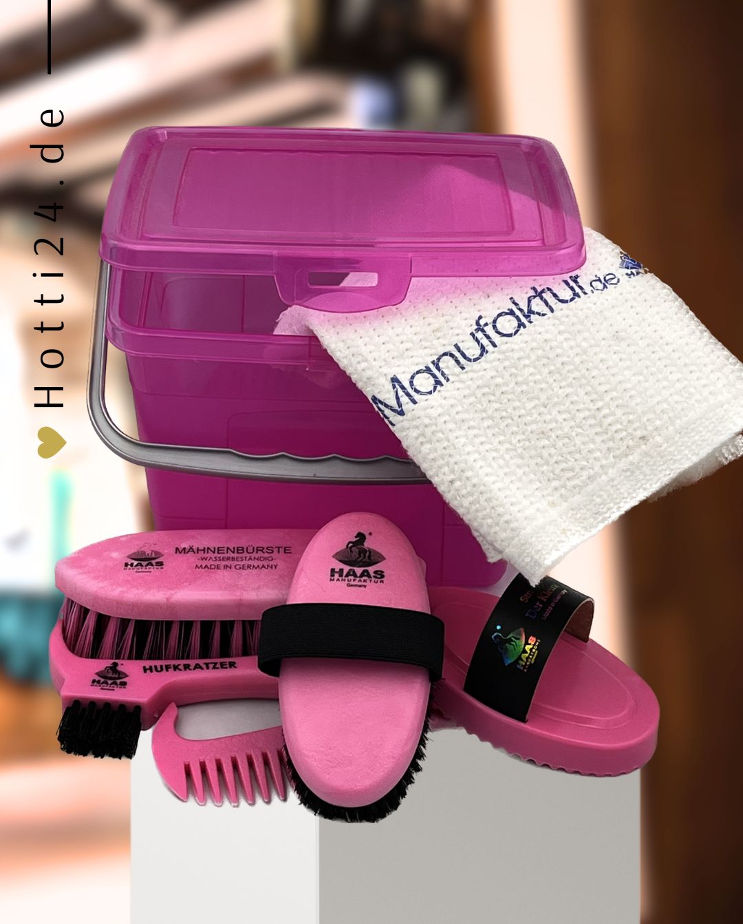HAAS »Mini Putzbox gefüllt