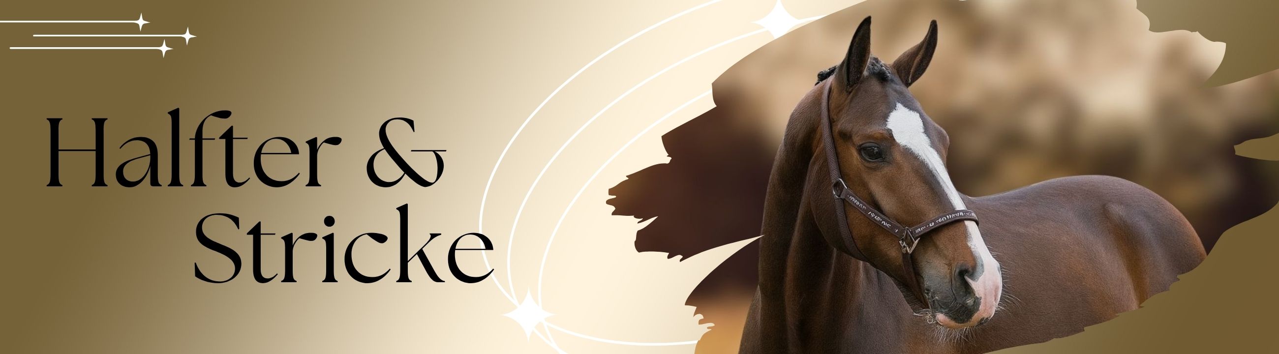 halfter-stricke-banner