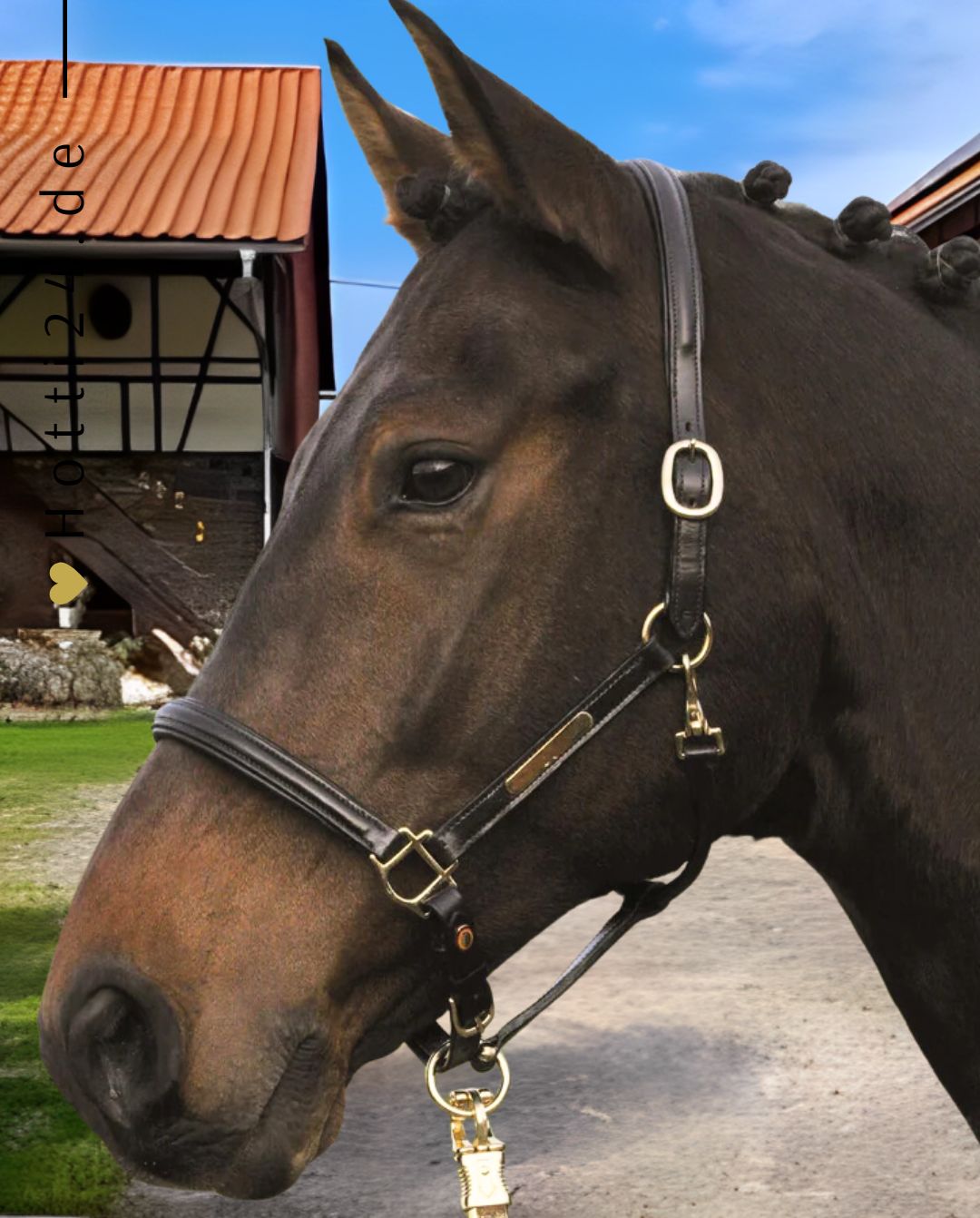 hans-melzer-halfter-huenxe-h1-hxsm0m-kaufen-www.hotti24.de