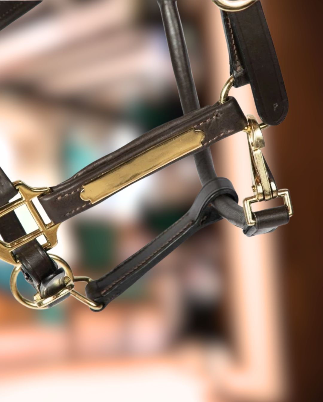 Hans Melzer »Halfter Radolfzell Leder Brown