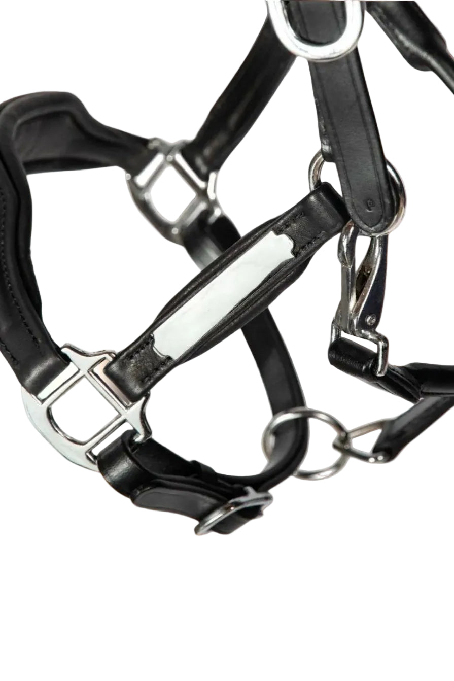 Hans Melzer »Headcollar Radolfzell Leather Black