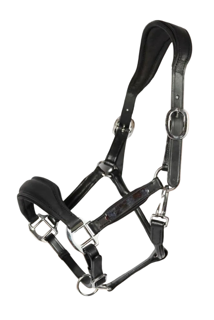 hans-melzer-halfter-radolfzell-leder-black-h1-rzss0m-kaufen-www.hotti24.de