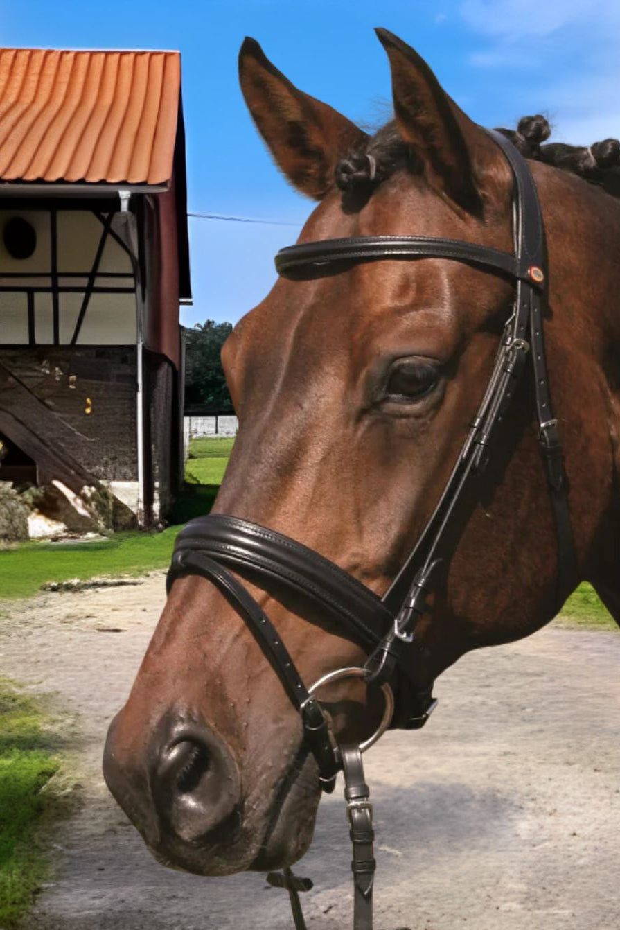 Hans Melzer »Bridle Bad Harzburg incl. Reins Black