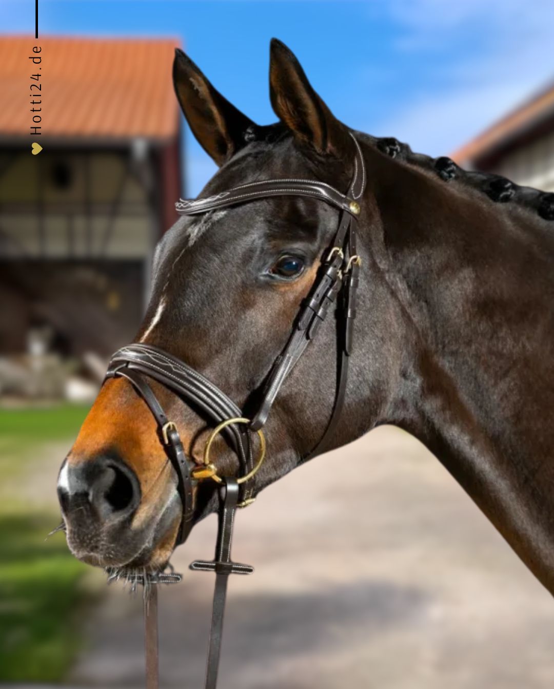 HANS MELZER »Trense Donaueschingen inkl. Zügel Brown