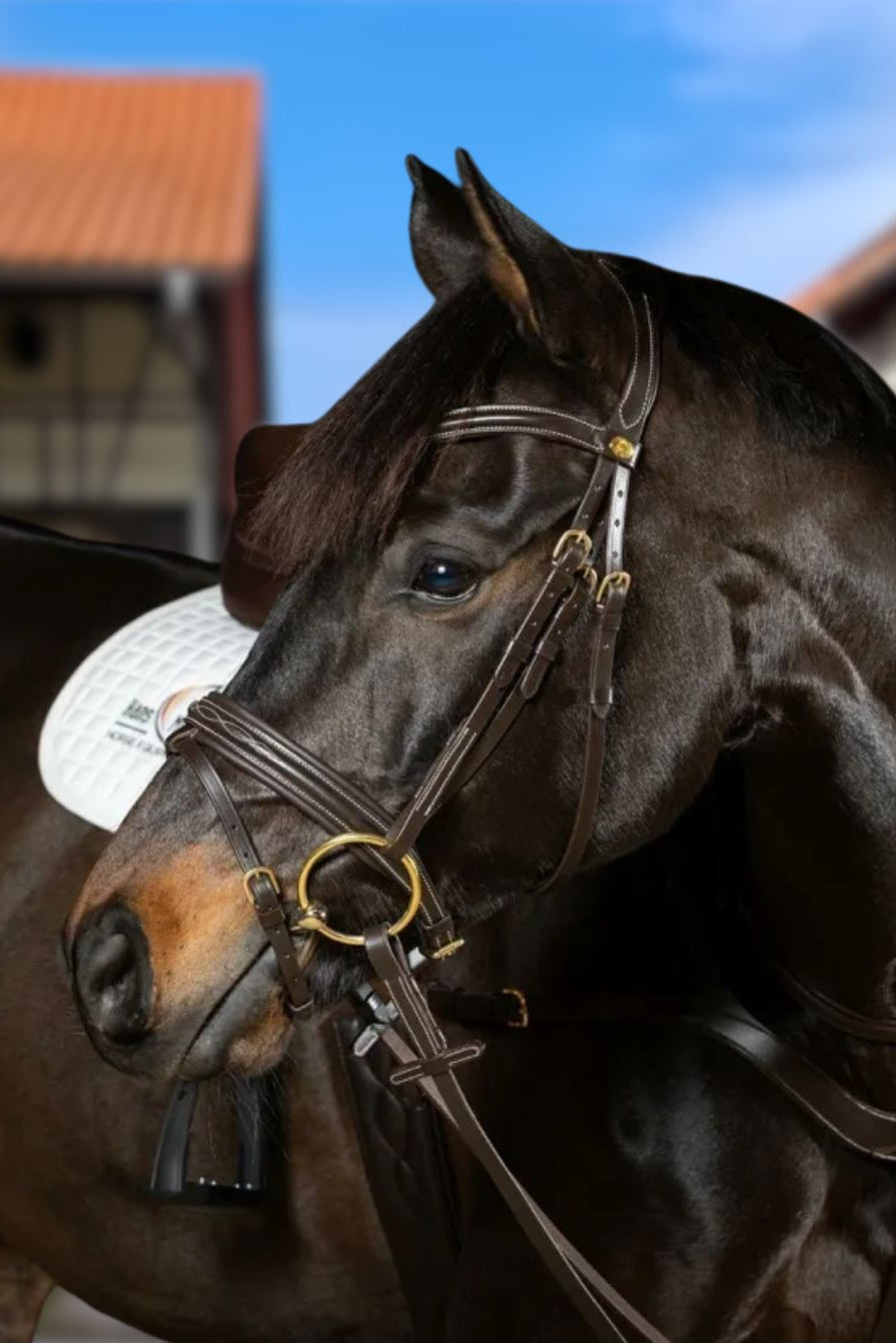 Hans Melzer »Bridle Donaueschingen incl. Reins Brown