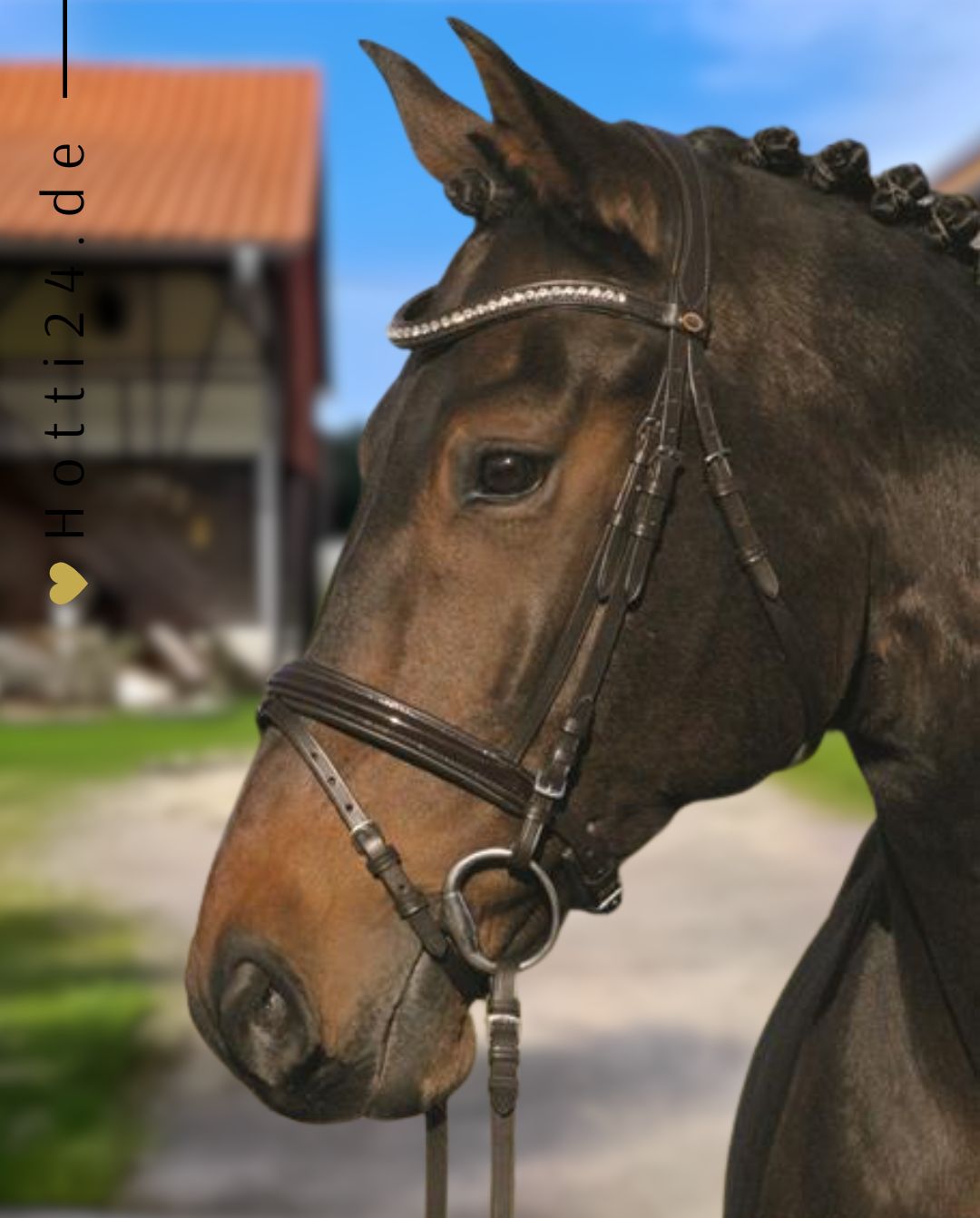 Hans Melzer »Trense Lexington inkl. Zügel Brown