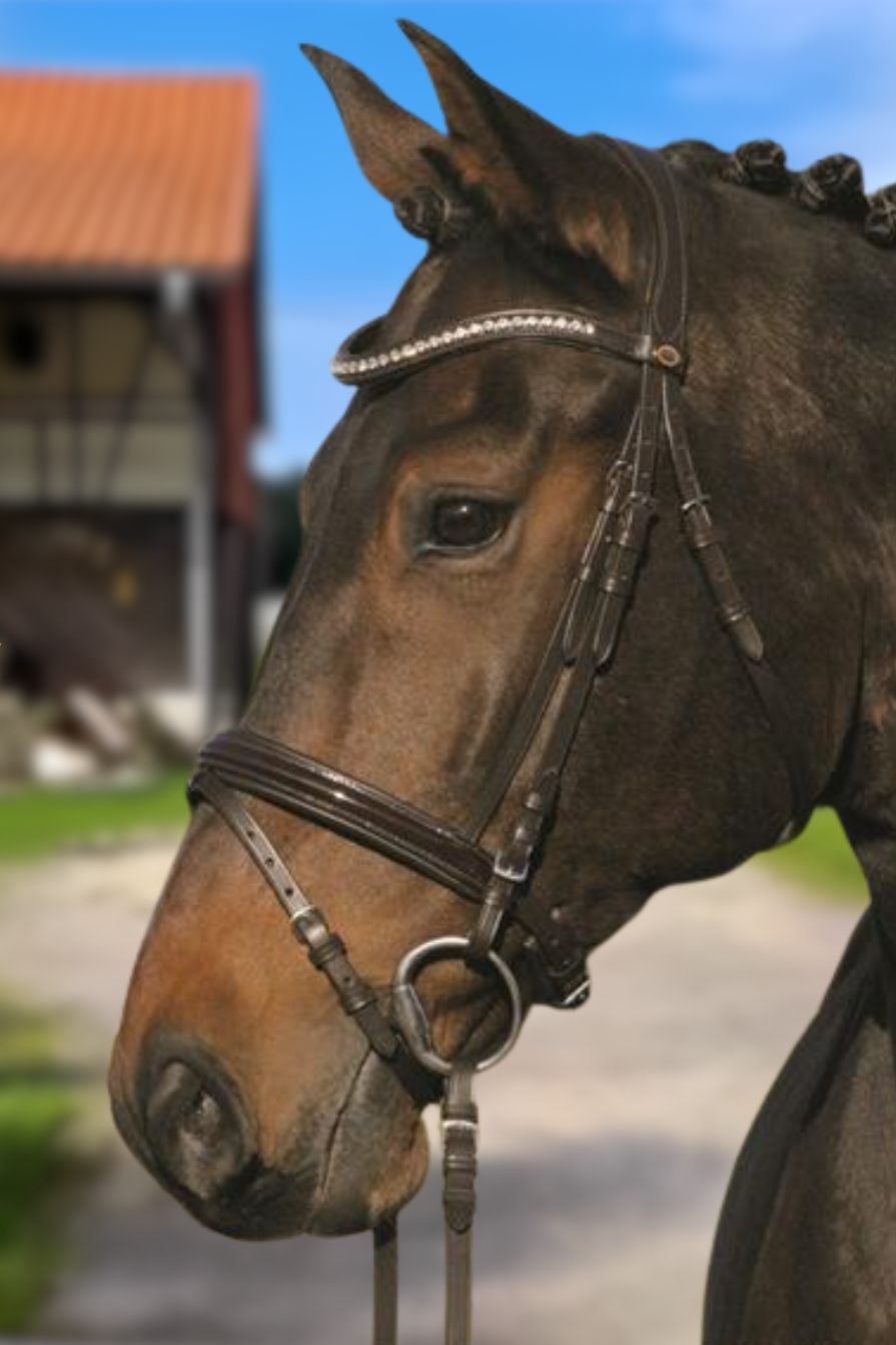 Hans Melzer "Lexington Snaffle Bridle incl. Reins Brown