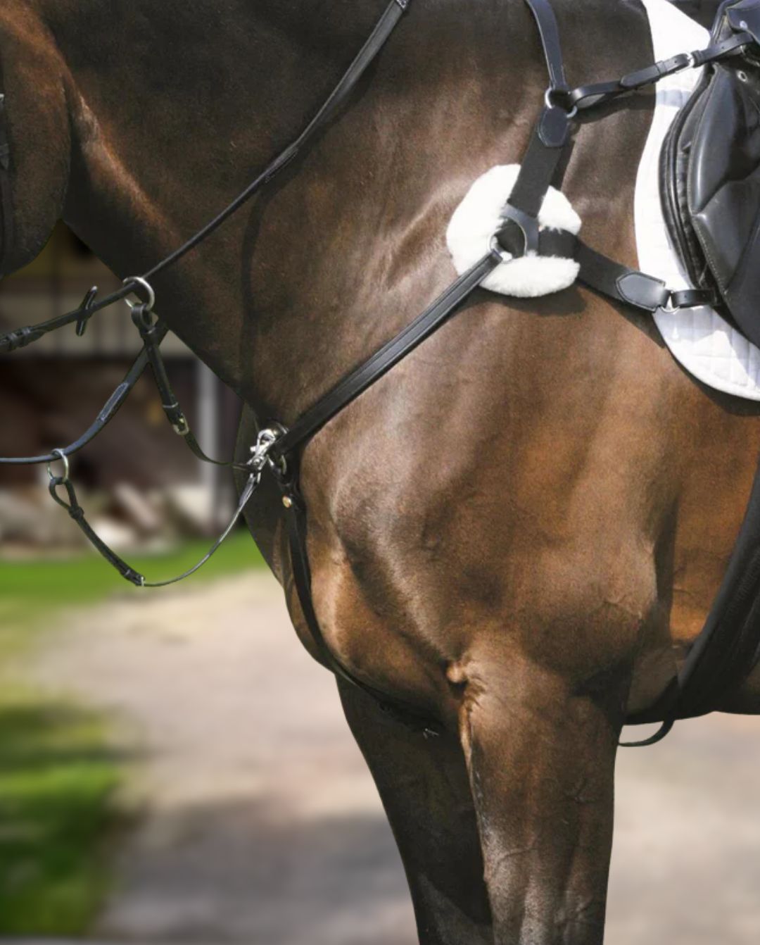 Hans Melzer »Vorderzeug Marbach Black