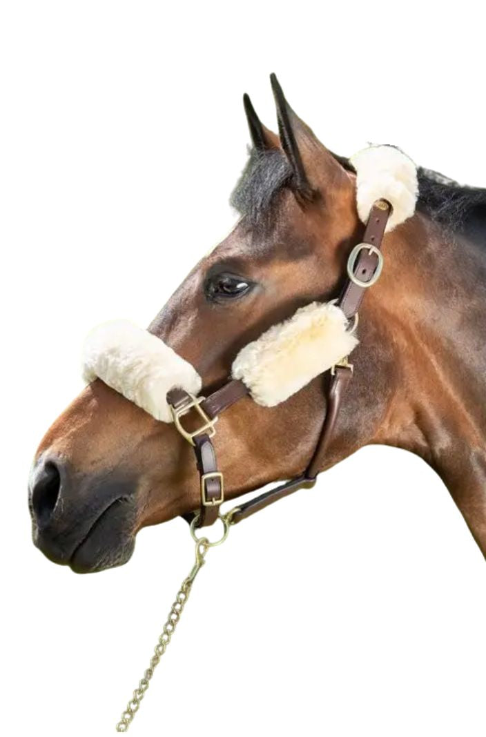 HFI Halfterschutz Polster 4 teilig Natur