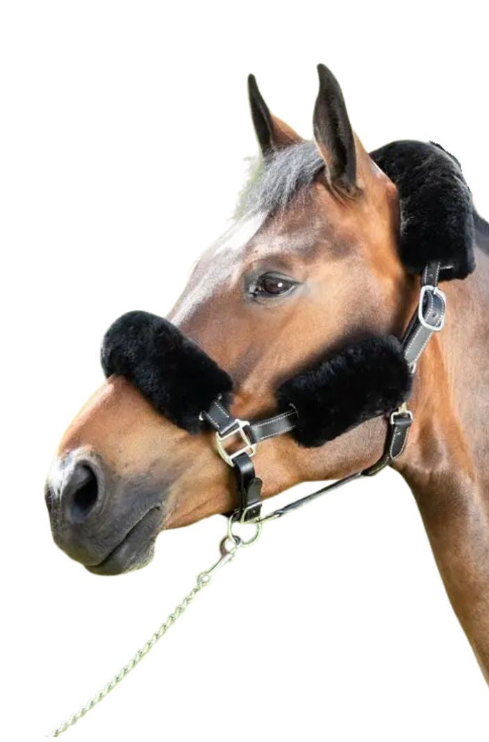 HFI Halfterschutz Polster 4 teilig Schwarz