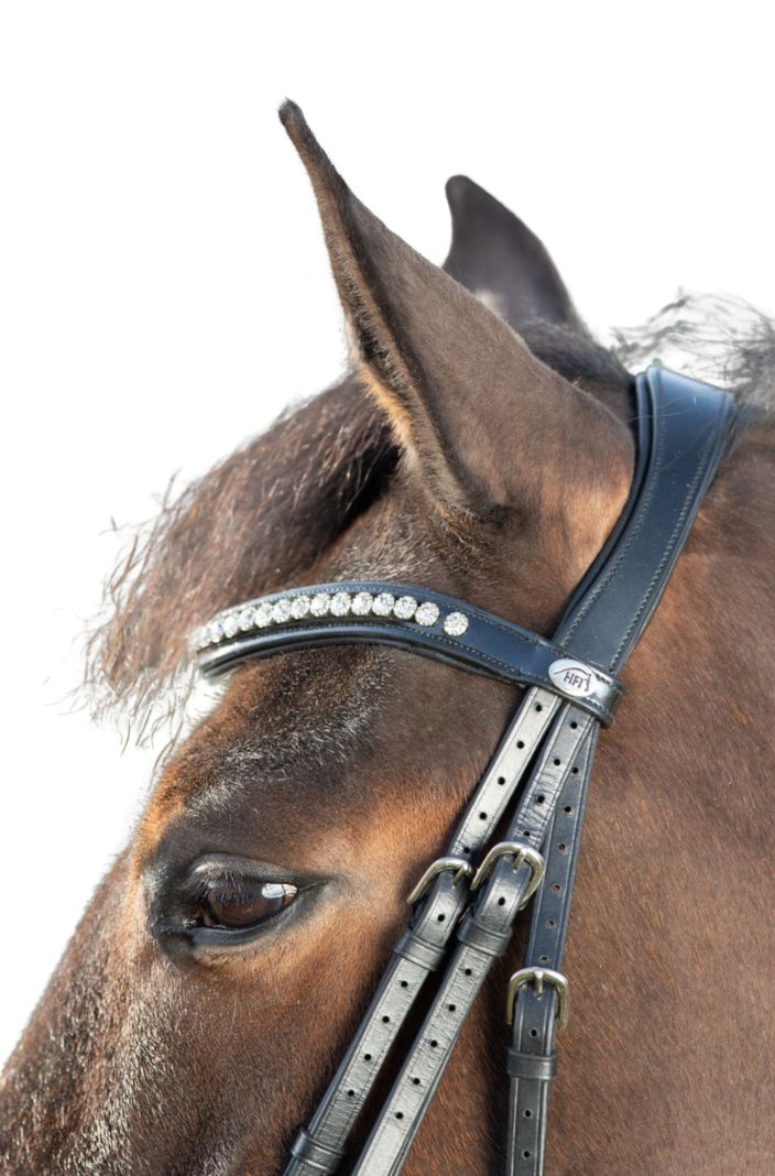 HFI Trense Shiny Schwarz