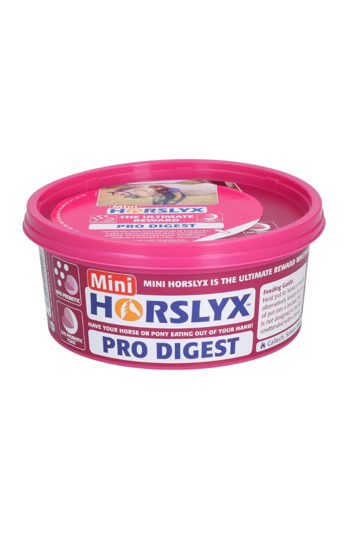 horslyx-pferde-leckstein-mini-verdauung-650g