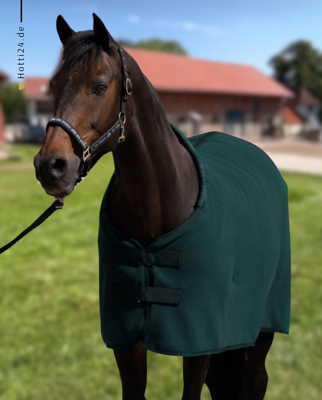 HV Polo »Abschwitzdecke HVPNena Duck Green