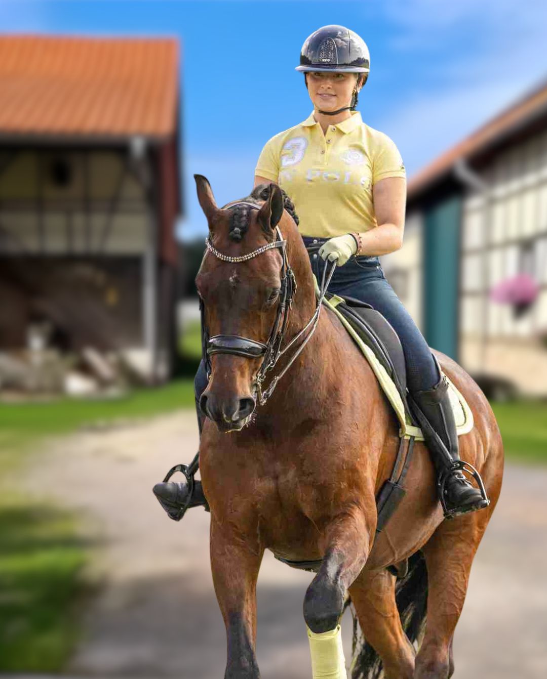 HV POLO »Polo Shirt HVPFavouritas B.Yellow Heather