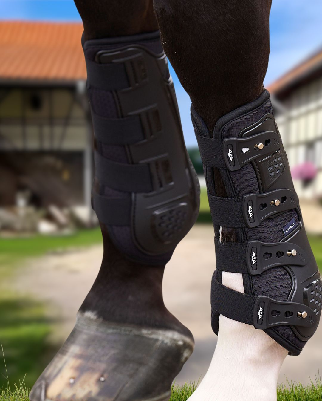 HV POLO »Dressurgamaschen HVPPro Movement Black