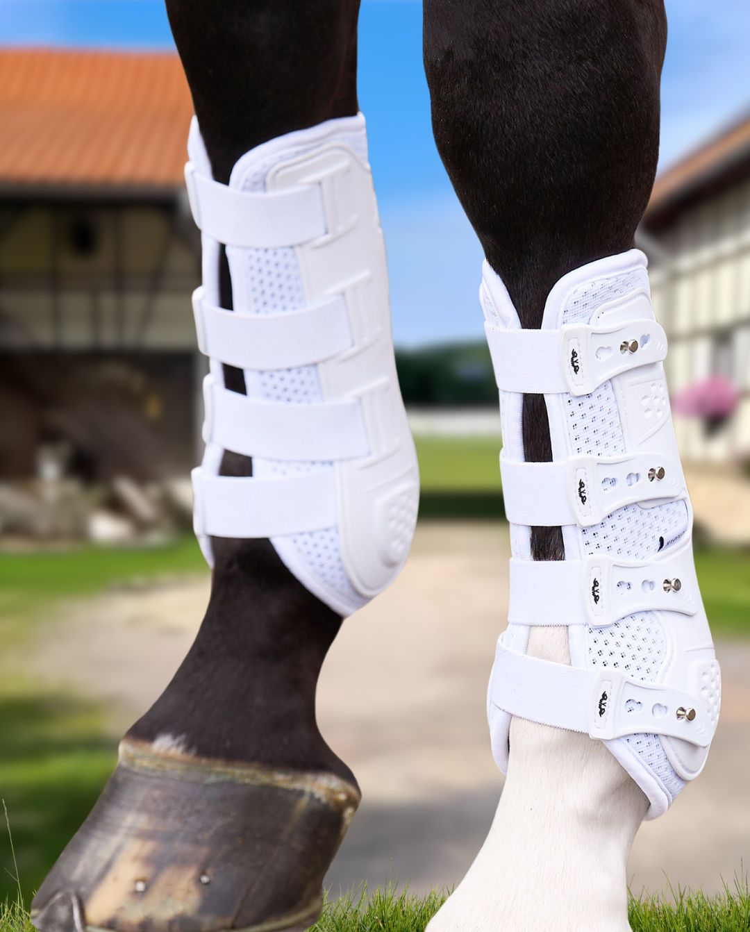 HV POLO »Dressurgamaschen HVPPro Movement White