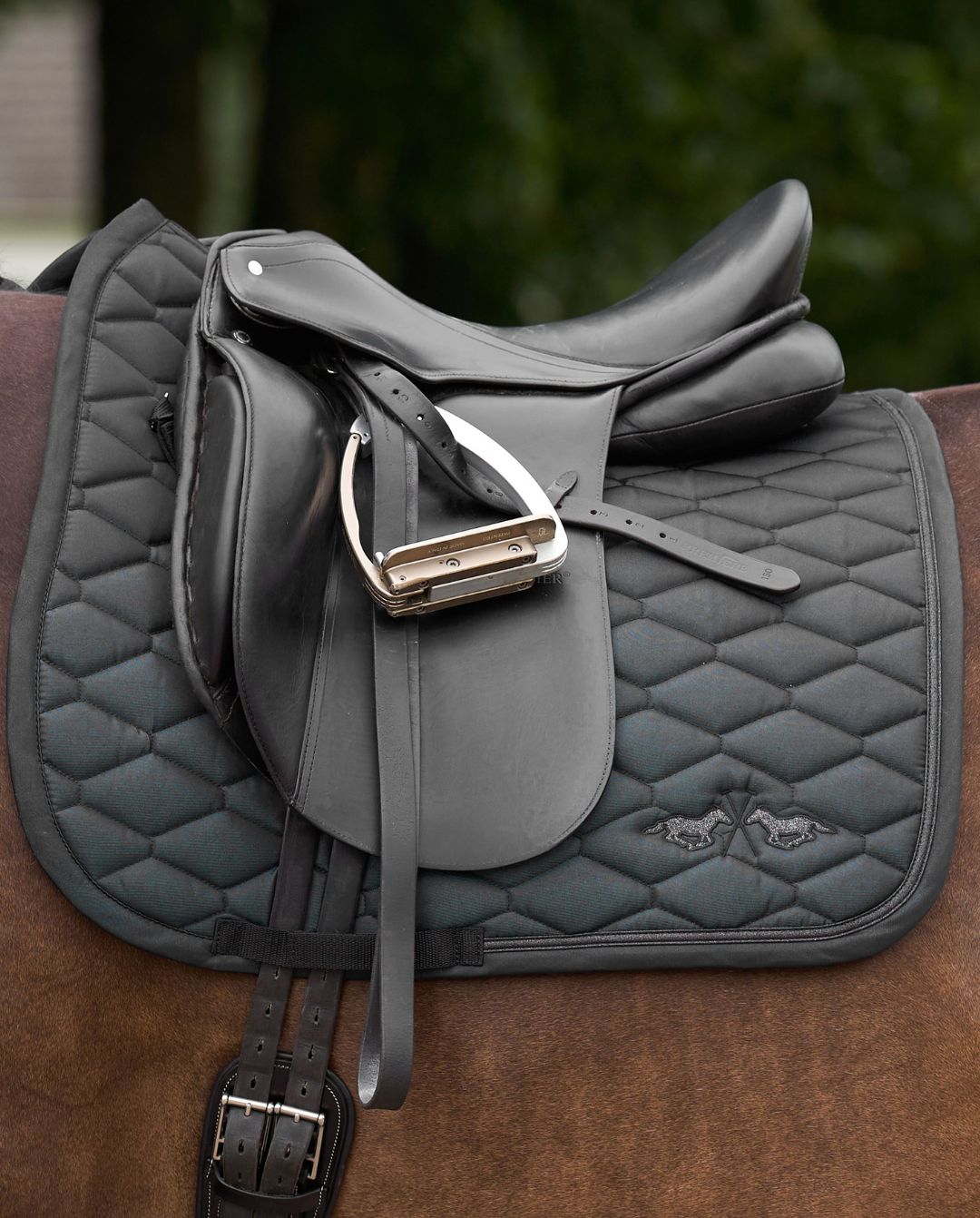 HV POLO »Dressurschabracke HVPJoan Black