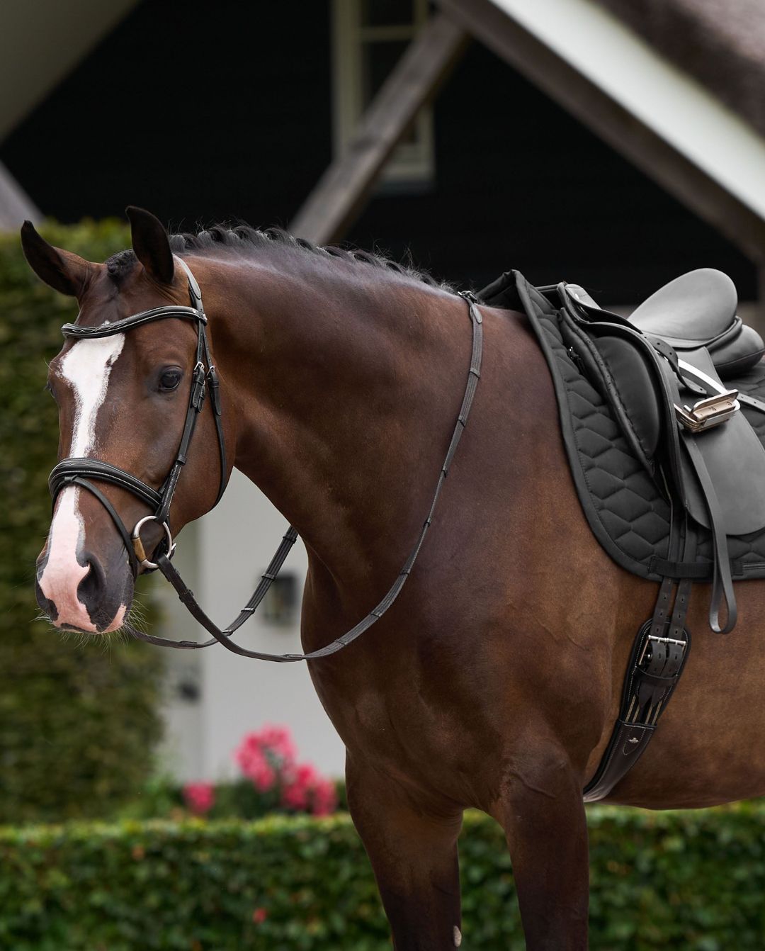 HV POLO »Dressurschabracke HVPJoan Black