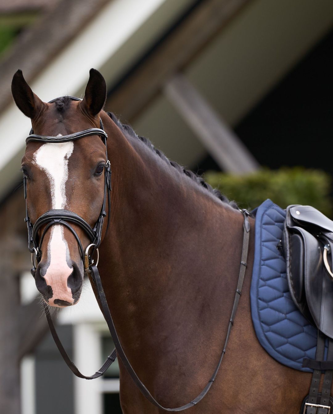 HV POLO »Dressurschabracke HVPJoan Navy