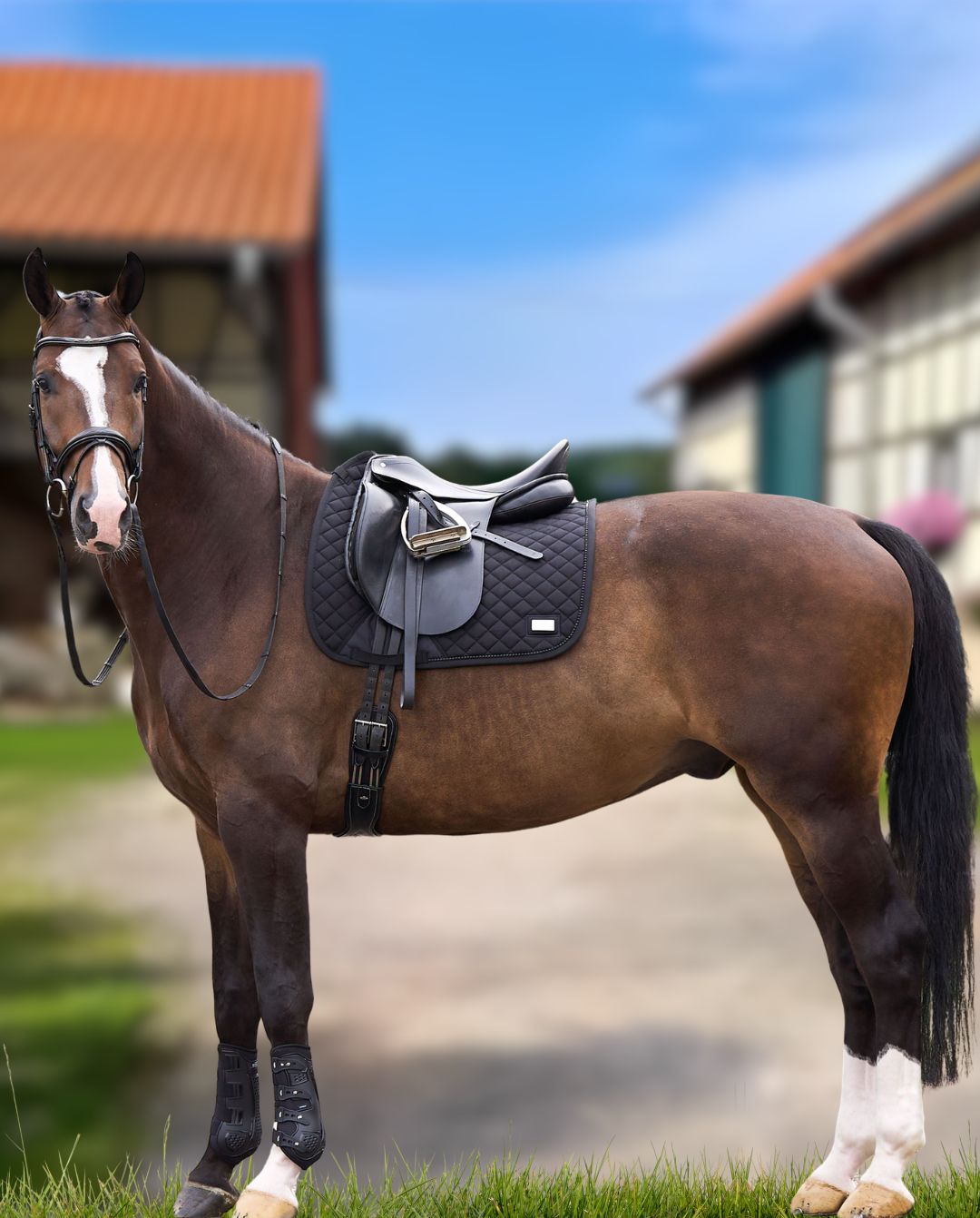 HV POLO »Dressurschabracke HVPPro Performance Black