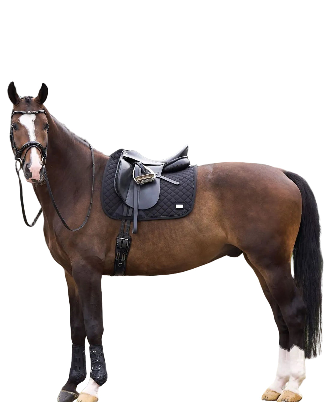 HV Polo Dressage Saddle Pad HVPPro Performance Black