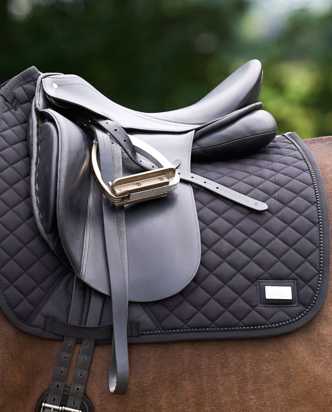 HV POLO »Dressurschabracke HVPPro Performance Black