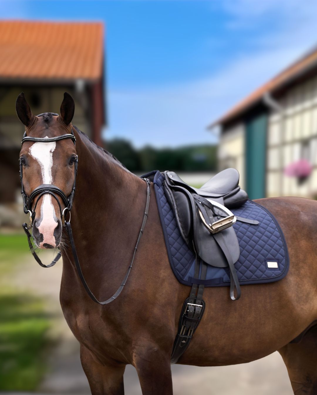 HV POLO »Dressurschabracke HVPPro Performance Navy