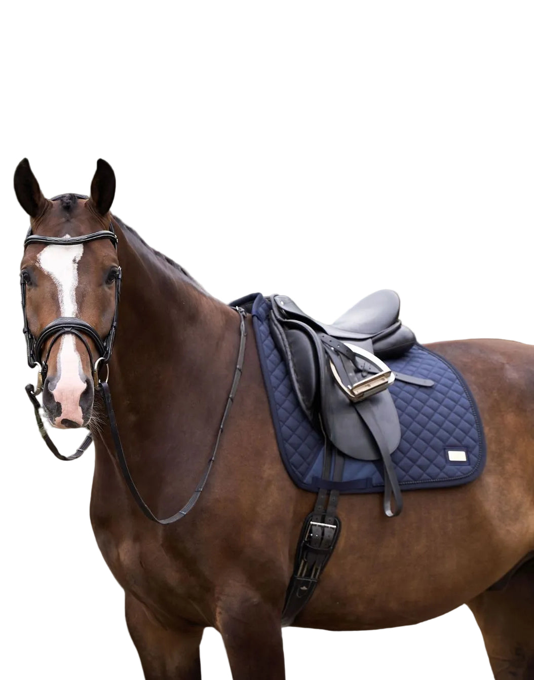 HV Polo Dressage Saddle Pad HVPPro Performance Navy