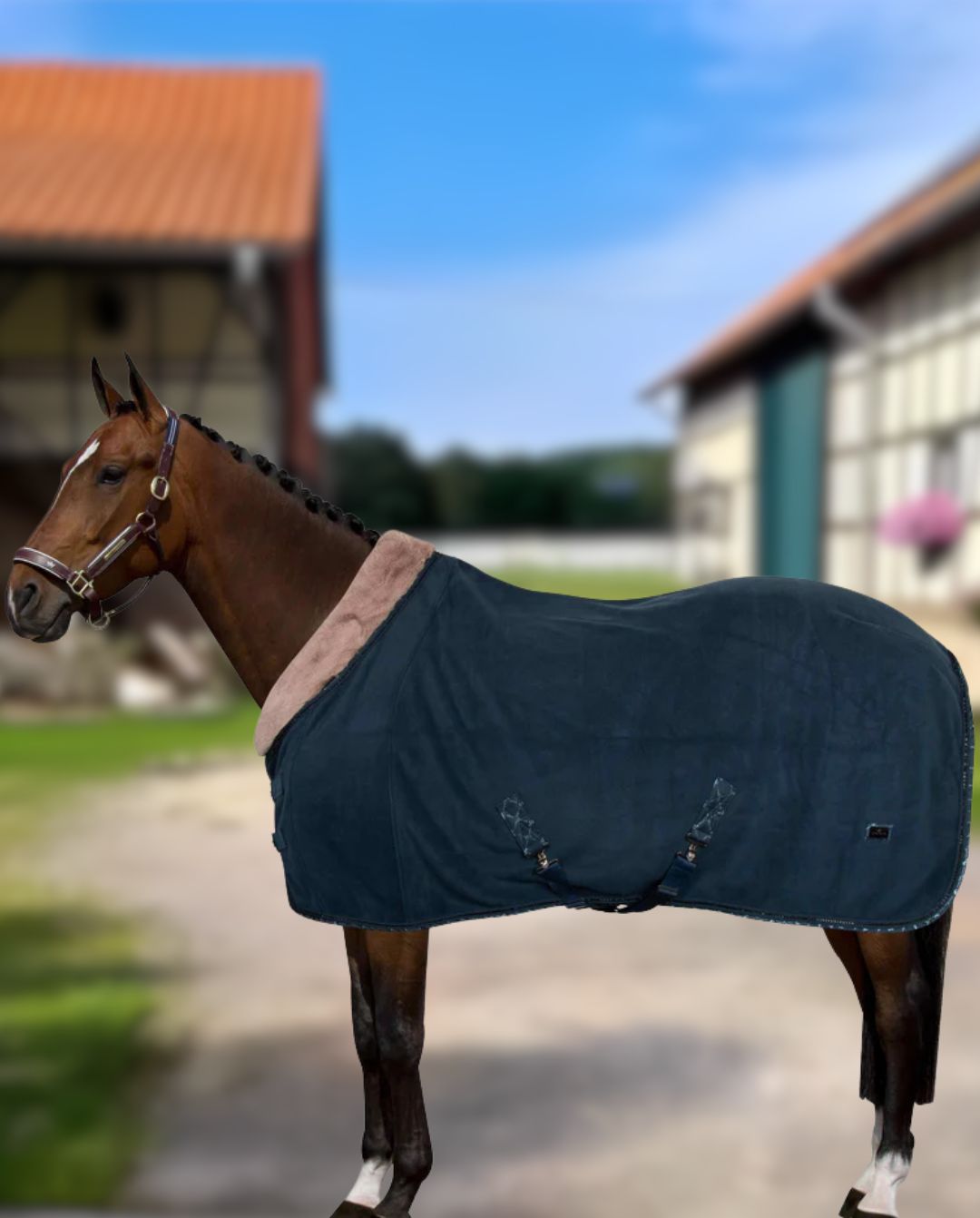 HV Polo "Sweat Rug HVPWelmoed Shine Deep Sea Blue