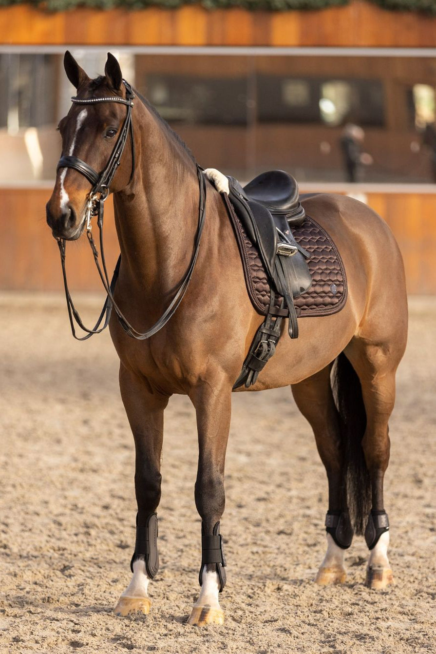 Bild analysieren hv-polo-gamaschen-streichkappen-set-hvpfranka-2802093452-8026-braun-kaufen-www.hotti24.de - mit Pferd