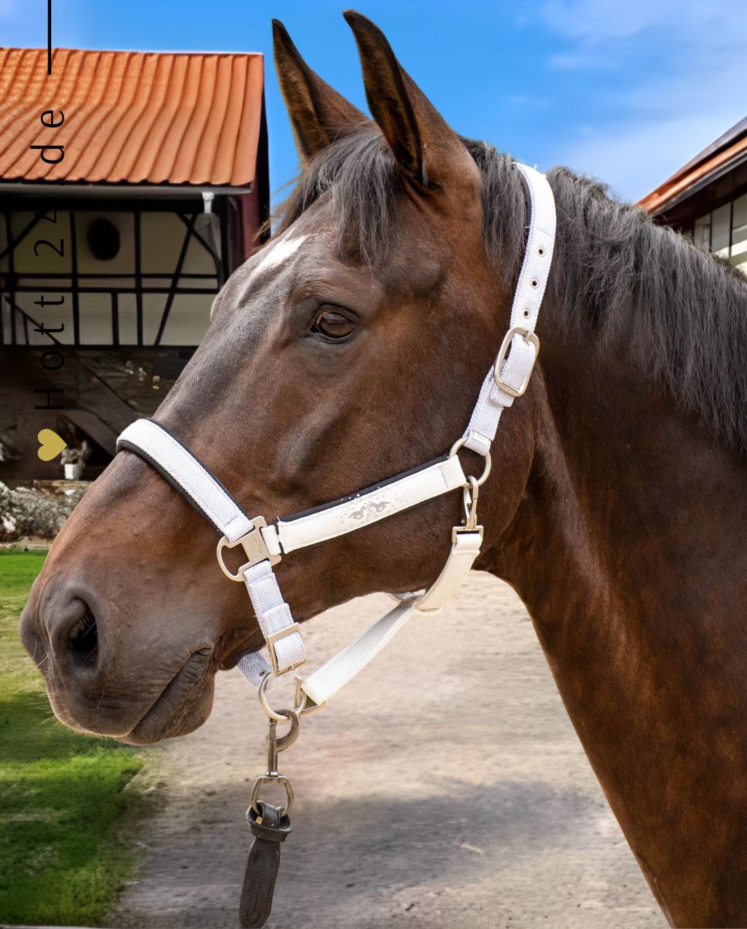 hv-polo-halfter-1601093502-0001-weiss-kaufen-www.hotti24.de