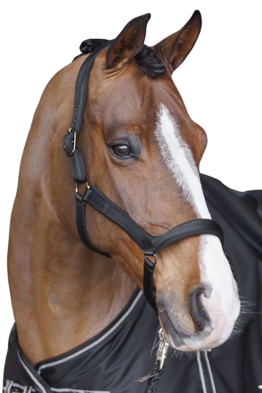 HV Polo Halfter HVPEssential Schwarz