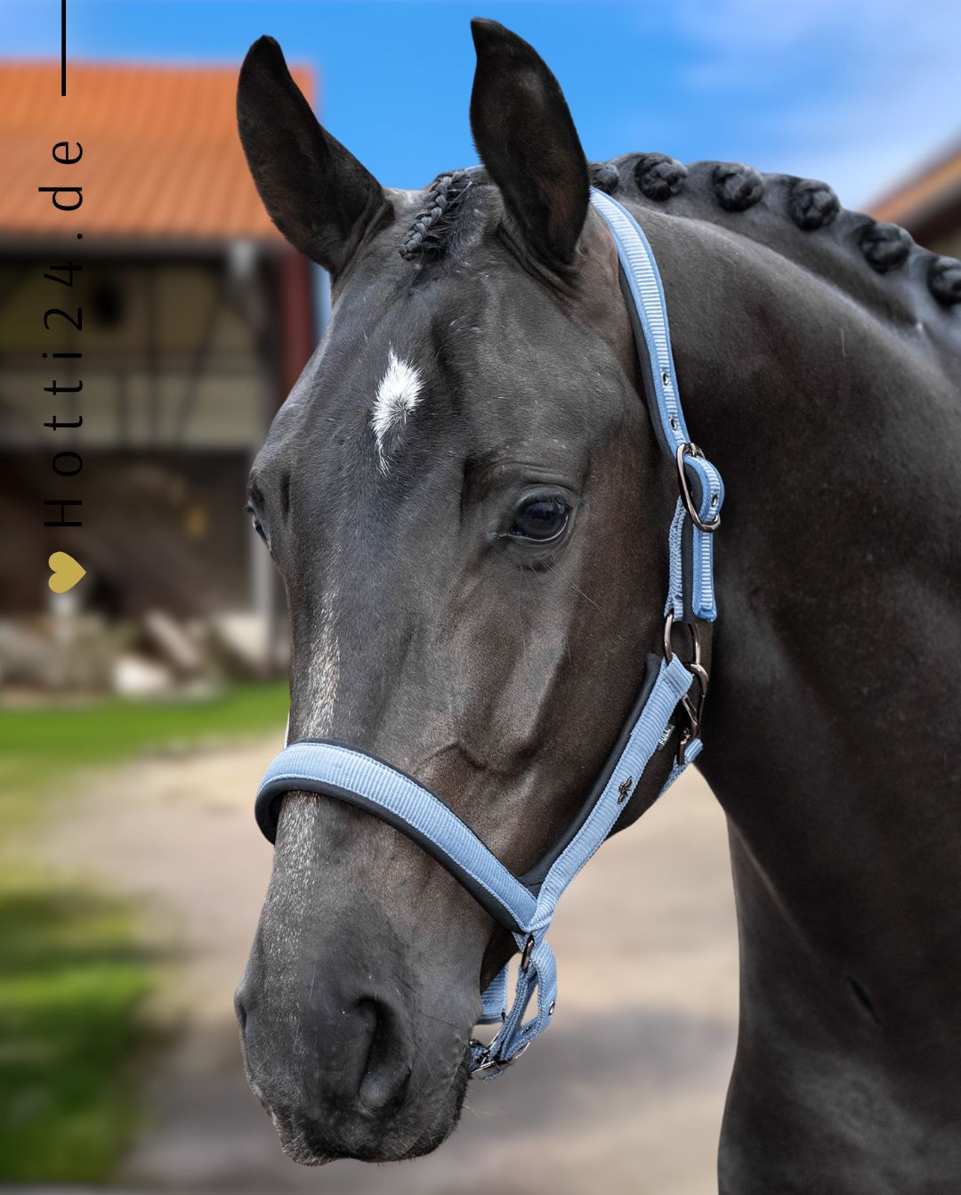 HV Polo "Headcollar HVPEssential Dark Mist Blue