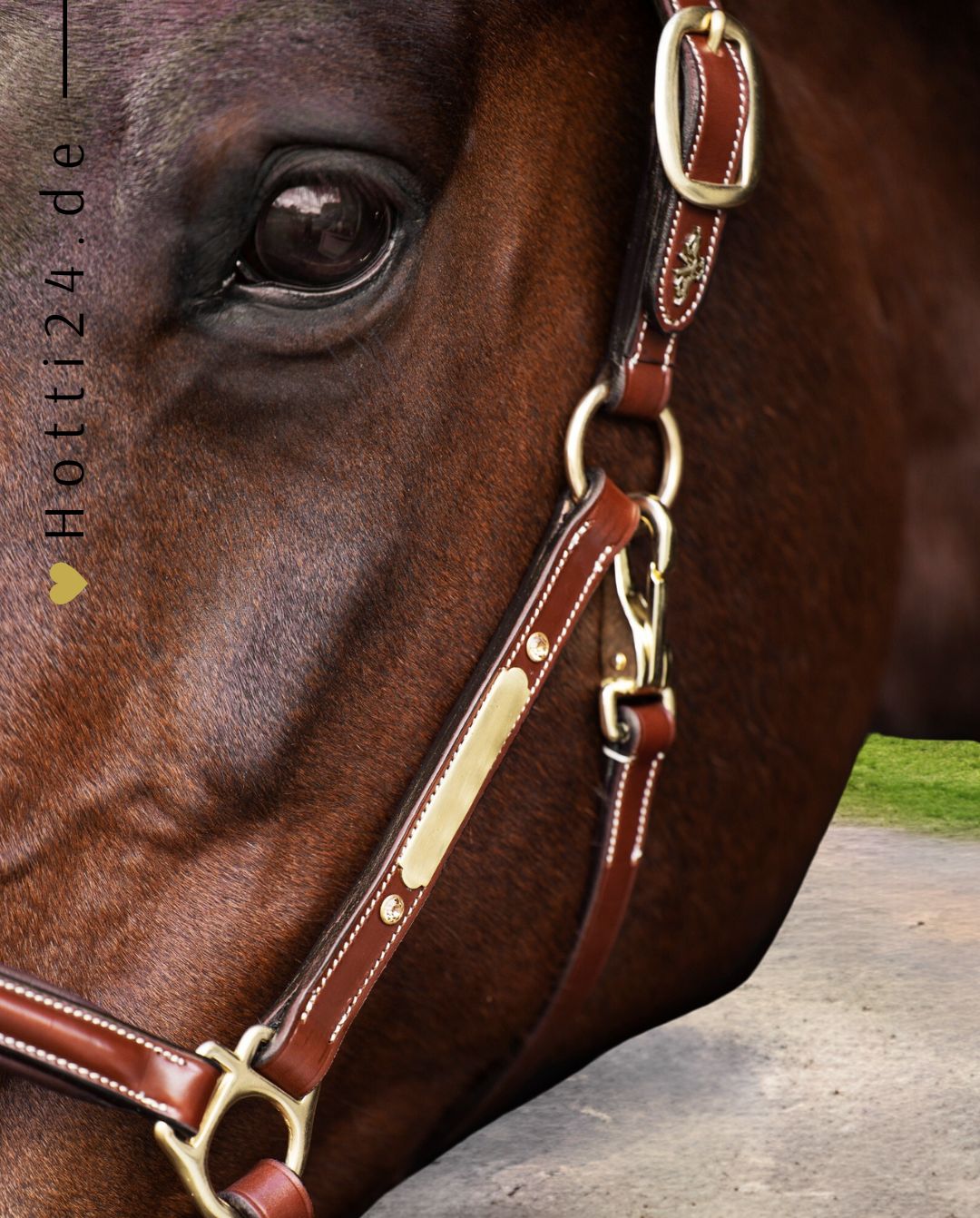 HV POLO »Halter HVPLegacy