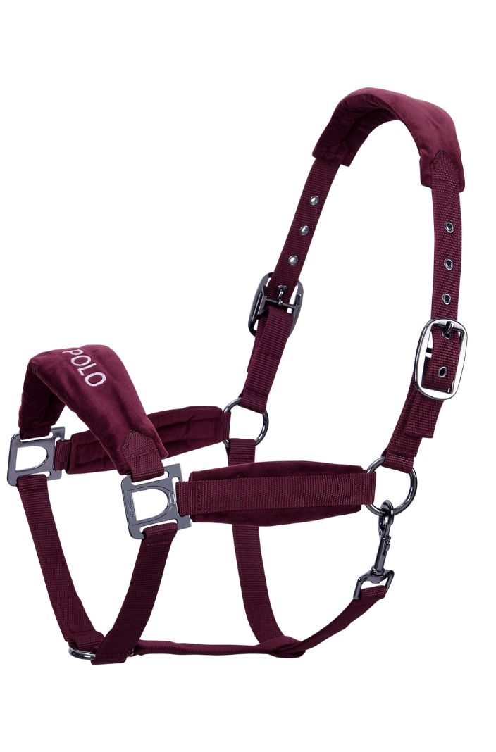 HV Polo Halfter HVPLuxury Wine