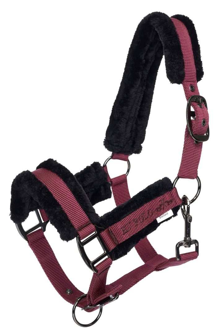 HV Polo Halfter HVPSacha mit Teddyfutter Wine