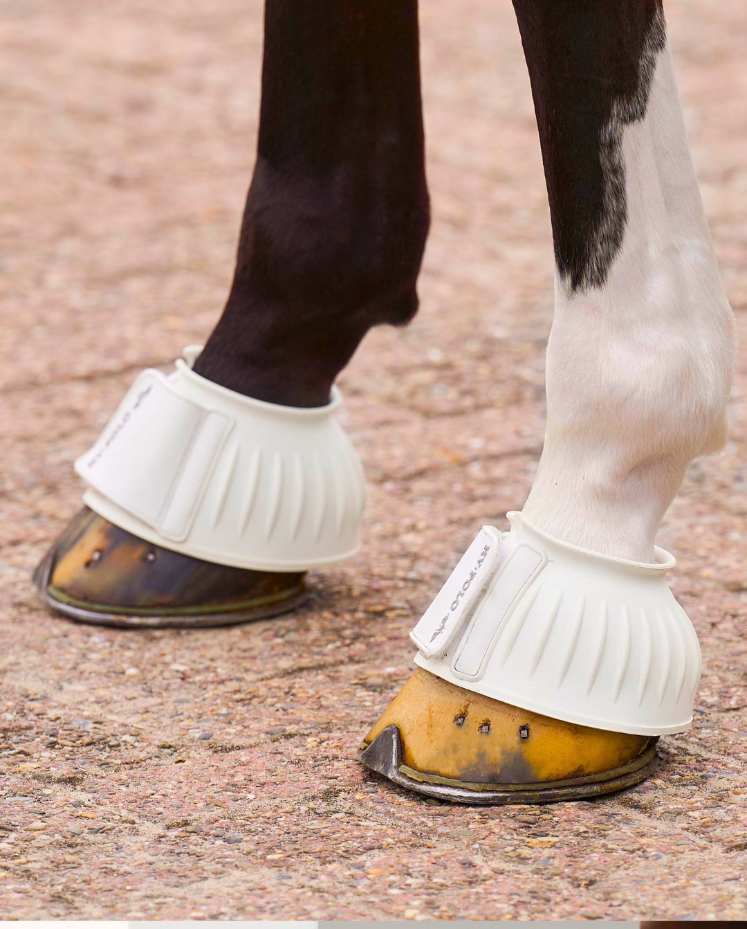 HV Polo Rubber Bell Boots HVPEssential Set of 2 White