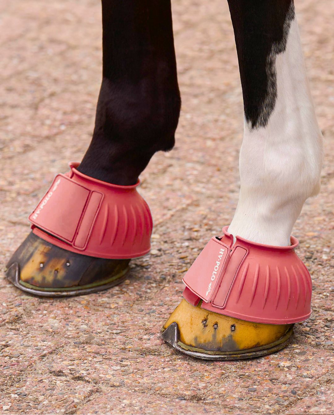 HV Polo Gummi Hufglocken HVPEssential 2er Set Blush