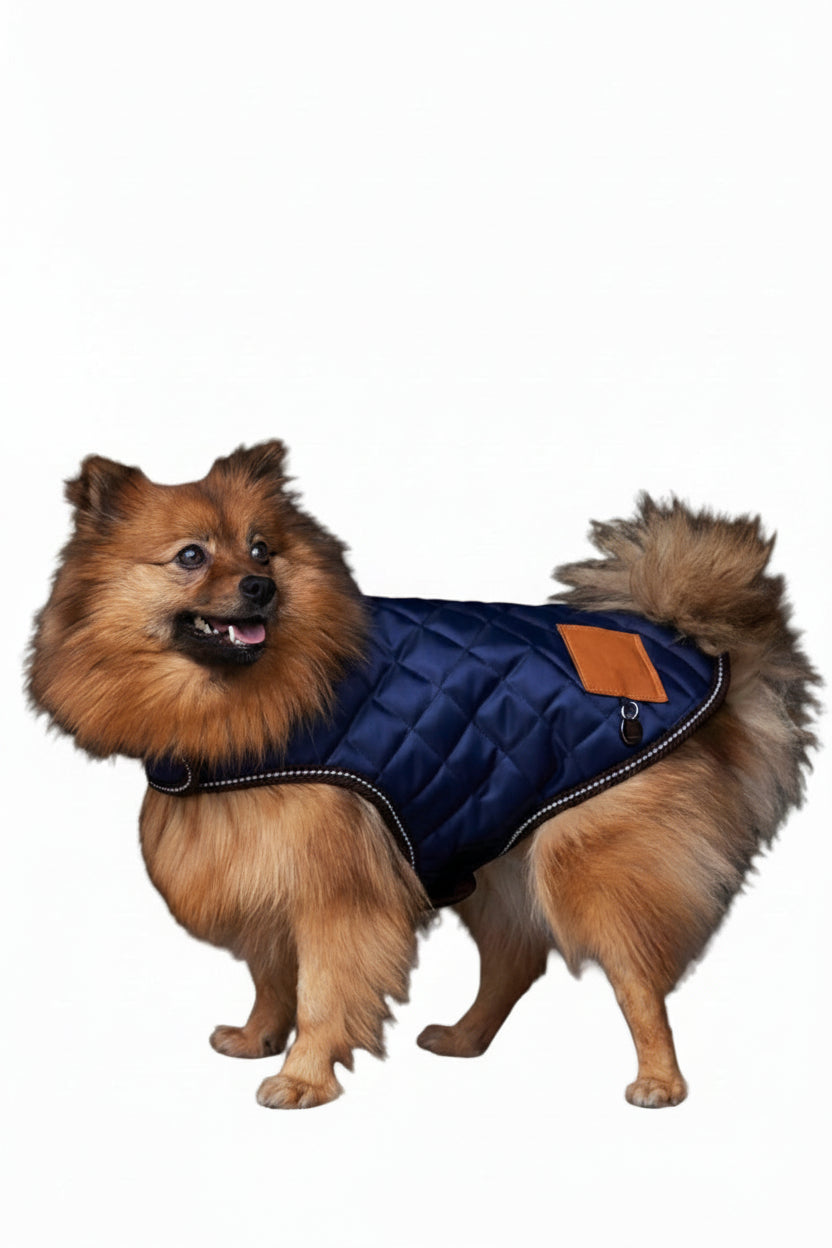 HV POLO »Dog Coat HVPBobby Navy