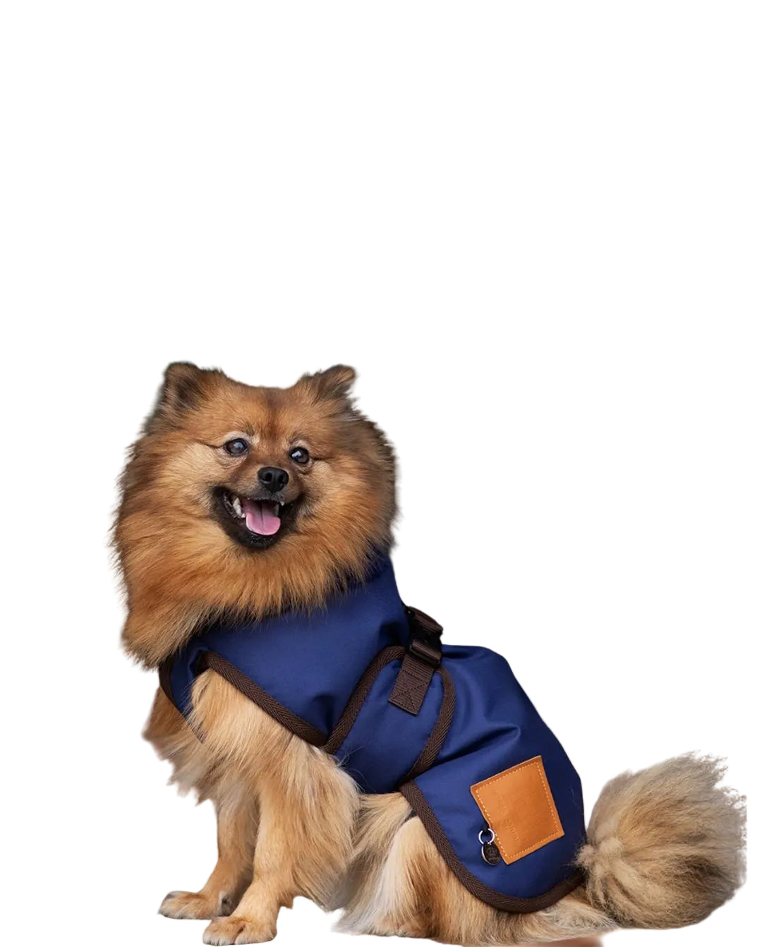 HV Polo Hundemantel HVPMax Navy