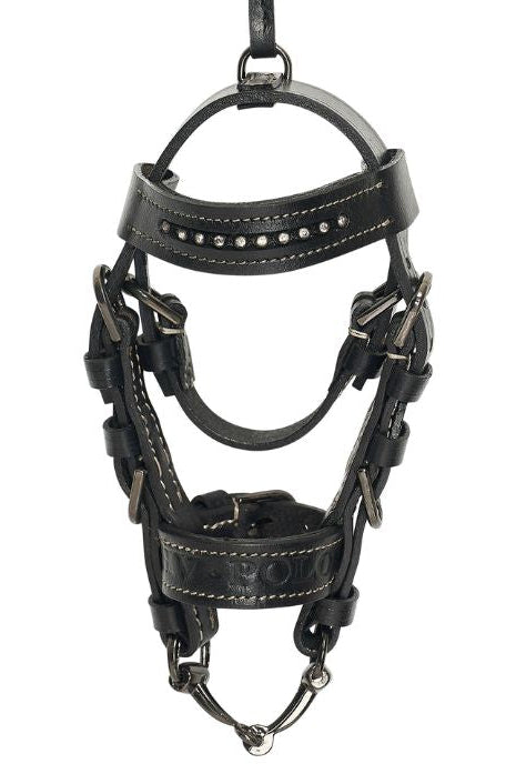 HV Polo "Mini Decorative Bridle HVPLegacy Black