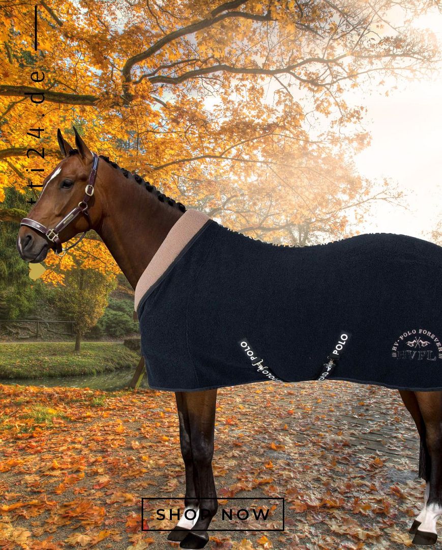 Die vorliegende Datei enthält Informationen über die HV POLO Pferde Teddy Fleecedecke "Hyder" in der Farbe Blau mit der Artikelnummer 2404093500-5001. Diese Fleecedecke wurde speziell für Pferde entwickelt, um sie warm und gemütlich zu halten. Sie können diese Pferde Teddy Fleecedecke auf der Website www.Hotti24.de erwerben.