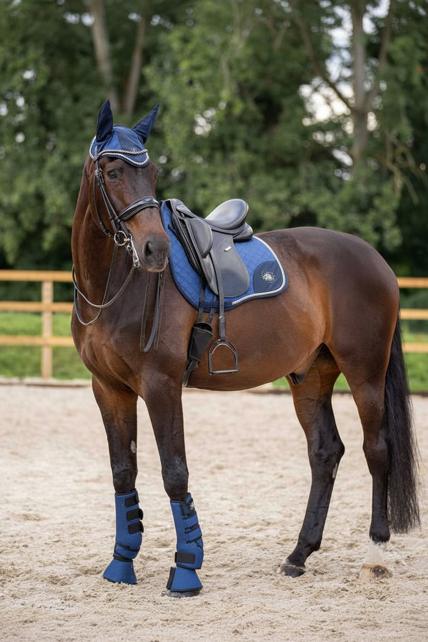 hv polo pferde dressurgamaschen skye 2er set 2802093503-5001 blau