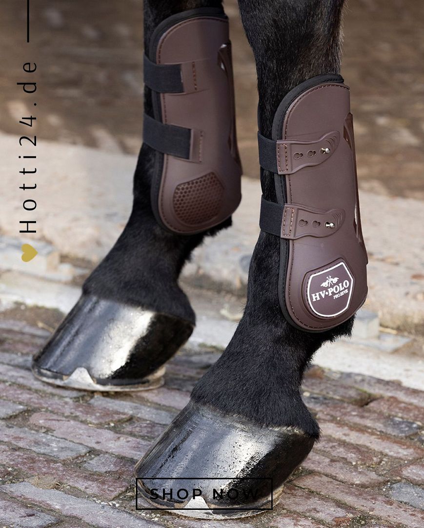 Die vorliegende Datei enthält Informationen über die HV POLO Pferde Gamaschen "Pro Hive" in der Farbe Braun mit der Artikelnummer 2802093505-8000. Diese Gamaschen wurden speziell für Pferde entwickelt, um ihnen Schutz während des Trainings oder Reitens zu bieten. Sie können diese Pferde Gamaschen auf der Website www.Hotti24.de erwerben.