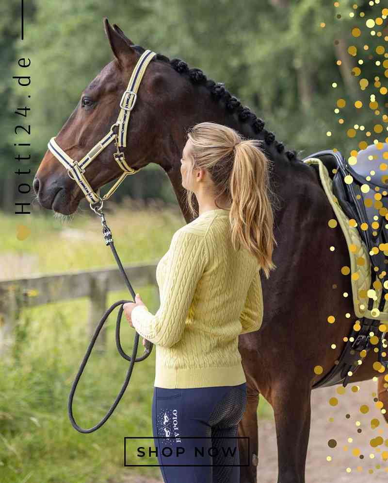 hv polo pferde halfter classic stripe 1601093501-1016 gelb