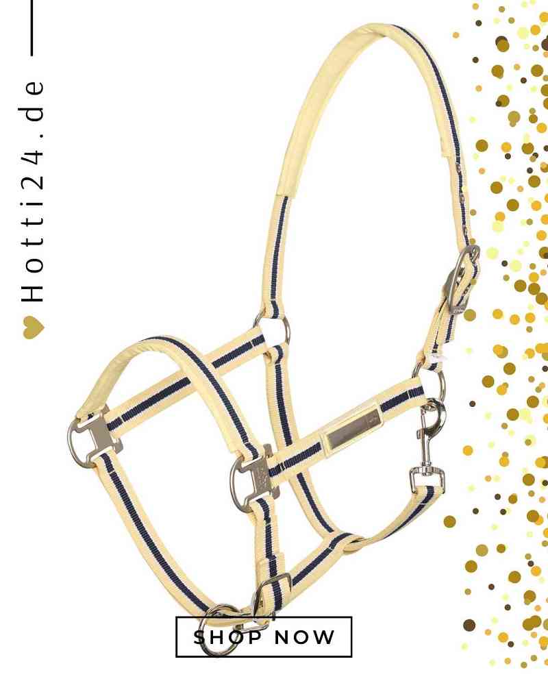 hv polo pferde halfter classic stripe 1601093501-1016 gelb