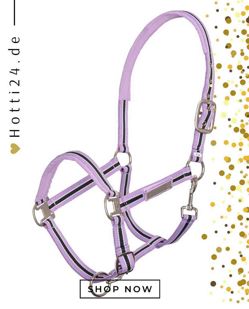 hv polo pferde halfter classic stripe 1601093501-4010 lila