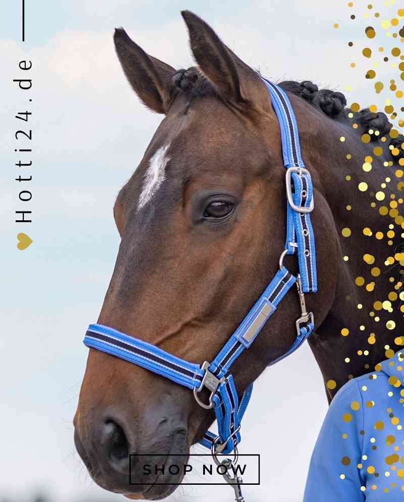 hv polo pferde halfter classic stripe 1601093501-5000 blau