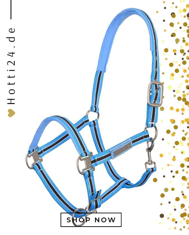 hv polo pferde halfter classic stripe 1601093501-5000 blau